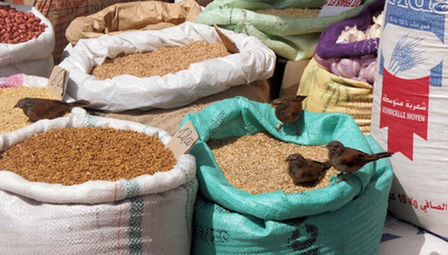Cultivated crops of millet seed Cultivated crops of millet seed
