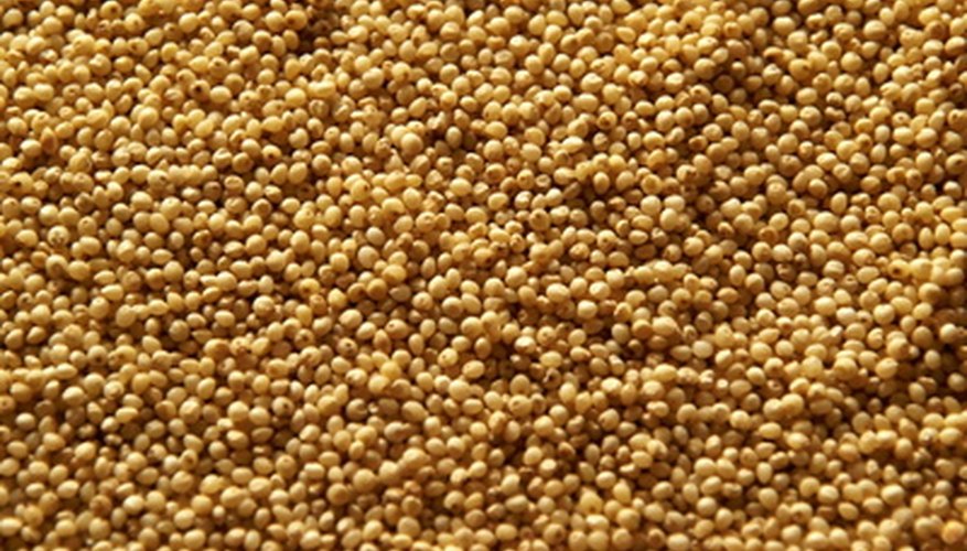 Millet is an ancient grain that makes a nice pillow. Millet is an ancient grain that makes a nice pillow.