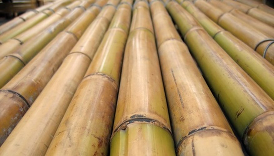 Bamboo makes a perfect lightweight fishing pole that is inexpensive. Bamboo makes a perfect lightweight fishing pole that is inexpensive.