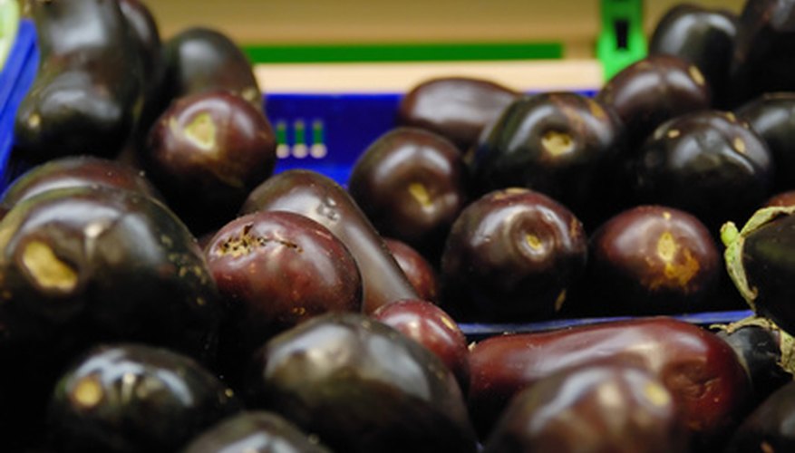 Like its relatives, the tomato and pepper, eggplant grows well in the Florida sun. Like its relatives, the tomato and pepper, eggplant grows well in the Florida sun.