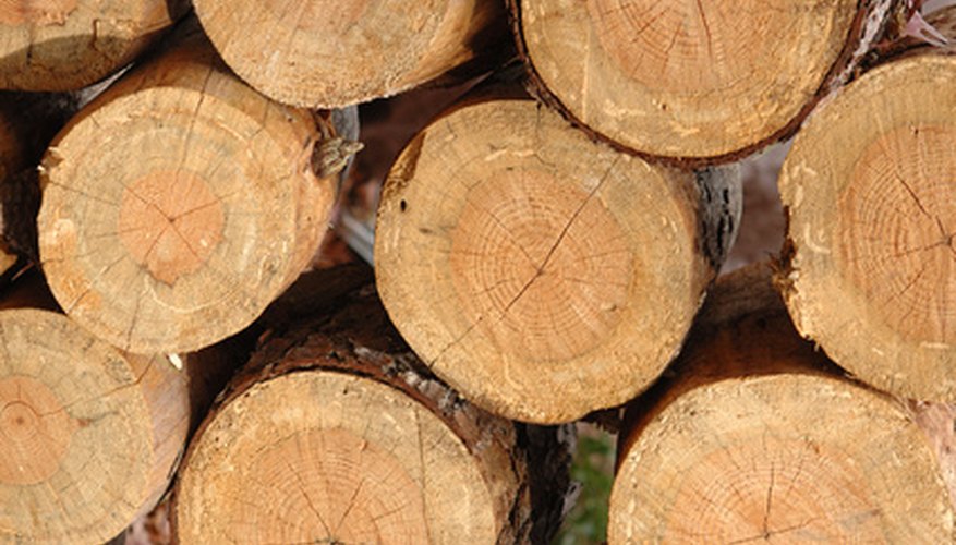 Photo Credit: wood pile image by Robert Young from <a href='http://www.fotolia.com'>Fotolia.com</a> Cross-section with outer sapwood and inner heartwood