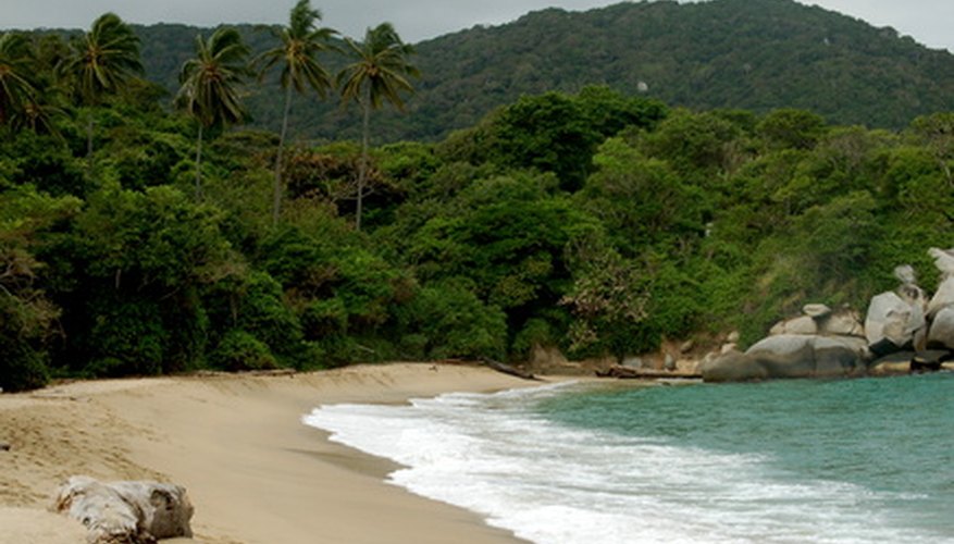Photo Credit: Tropical beach., Colombia image by rm from <a href='http://www.fotolia.com'>Fotolia.com</a> Cumbia emerged in the northern coast of Colombia, where slaves who followed the Yoruba religion were brought to work plantations.