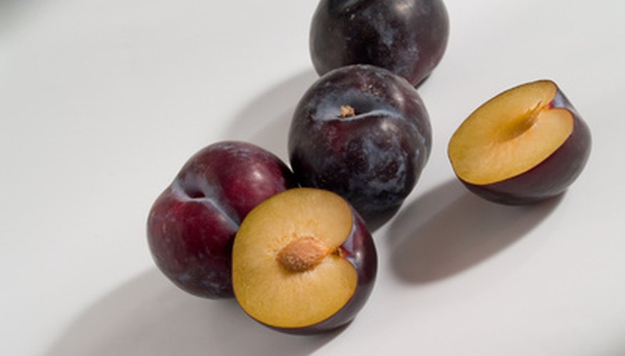 Stone fruits have single seeds, or pits Stone fruits have single seeds, or pits