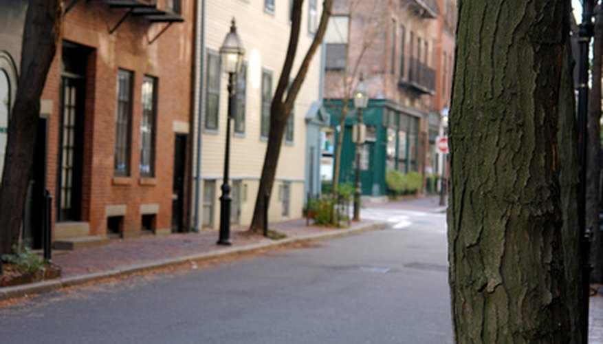 Photo Credit: focus on tree beacon hill neighborhood image by Stephen Orsillo from <a href='http://www.fotolia.com'>Fotolia.com</a> Donate within your community.