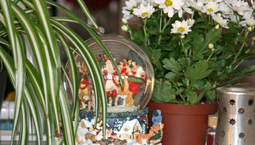 Snow globes can be fun and easy to make. Snow globes can be fun and easy to make.