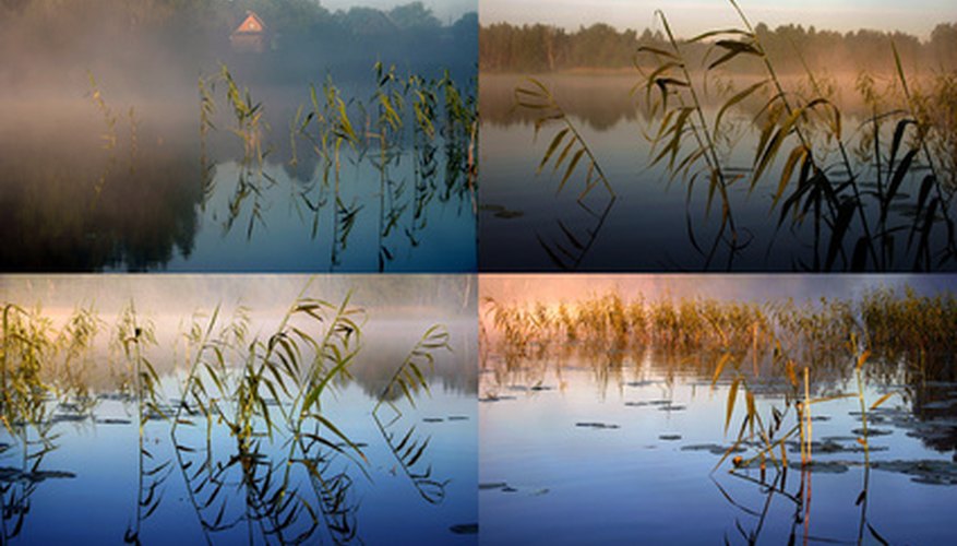 Create a collage of past vacations. Create a collage of past vacations.