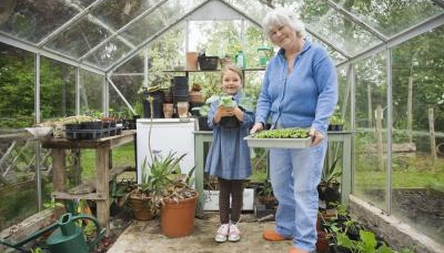 Greenhouse with plants and seeds. Greenhouse with plants and seeds.
