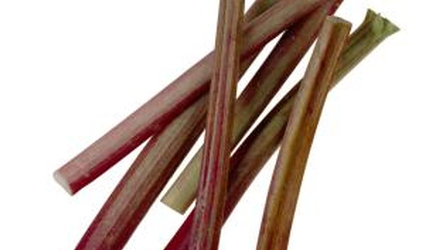 Harvest rhubarb stalks for baking. Harvest rhubarb stalks for baking.