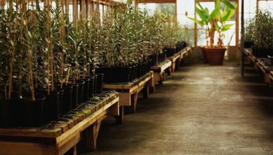 Hydroponics takes only a few basic agricultural skills. Hydroponics takes only a few basic agricultural skills.