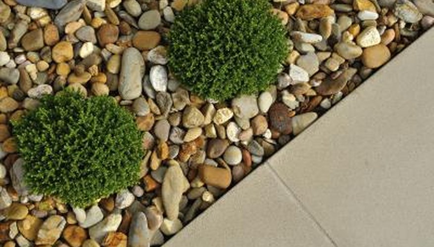 Choose smooth pebbles, large ones, small ones, or whatever fits your budget and taste. Choose smooth pebbles, large ones, small ones, or whatever fits your budget and taste.