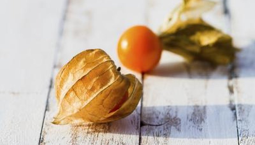 Peel back the husk and eat them fresh, or use in fruit pies, salads and desserts. Peel back the husk and eat them fresh, or use in fruit pies, salads and desserts.