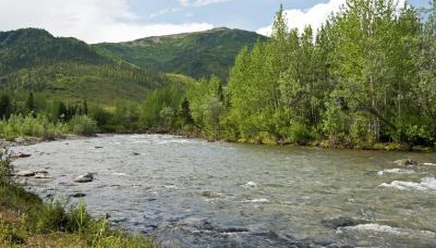 Photo Credit: McKinneMike/iStock/Getty Images The Copper River in Alaska is well-known for diamond willows.