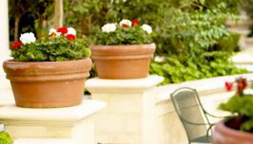 Containerized plants benefit from a well-chosen planter liner. Containerized plants benefit from a well-chosen planter liner.