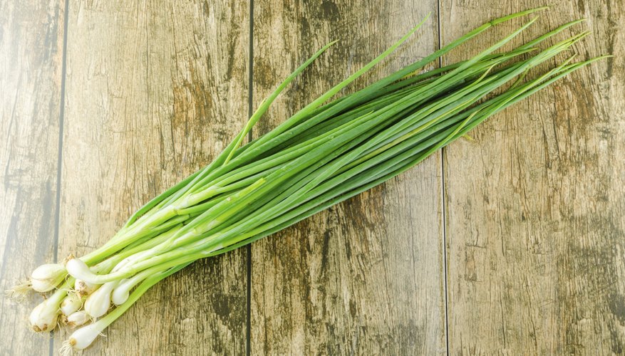 Bunching onions can grow in 6-inch-deep pots. Bunching onions can grow in 6-inch-deep pots.