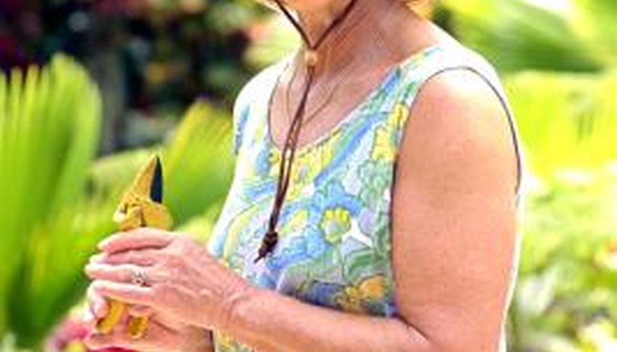 Suitable clothing is important when pruning on hot, sunny days. Suitable clothing is important when pruning on hot, sunny days.