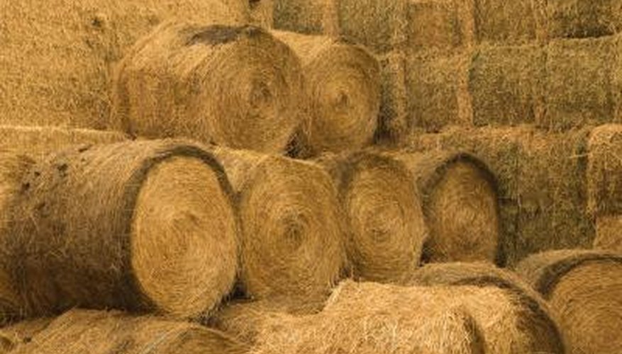 Hay provides important nutrients for grazing animals. Hay provides important nutrients for grazing animals.