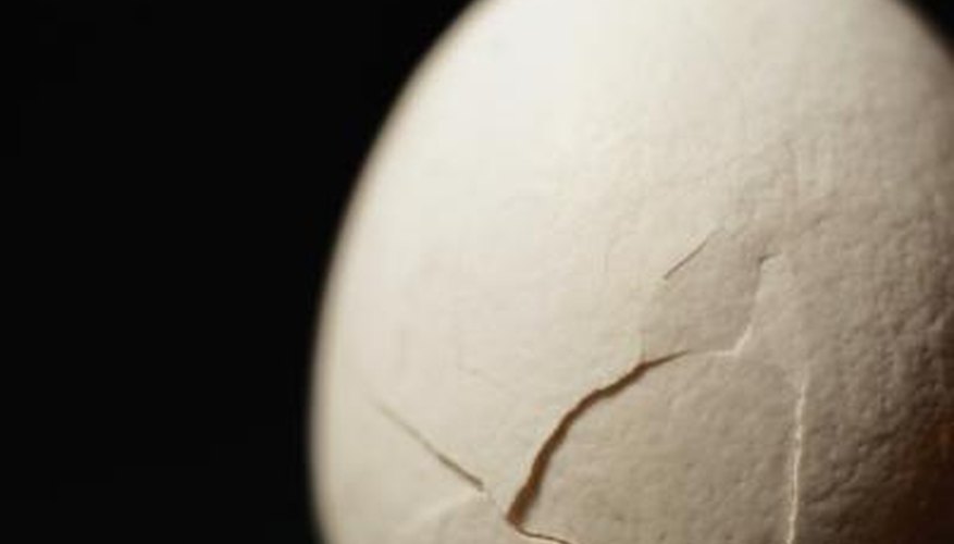 Eggshells are a source of calcium for plants. Eggshells are a source of calcium for plants.