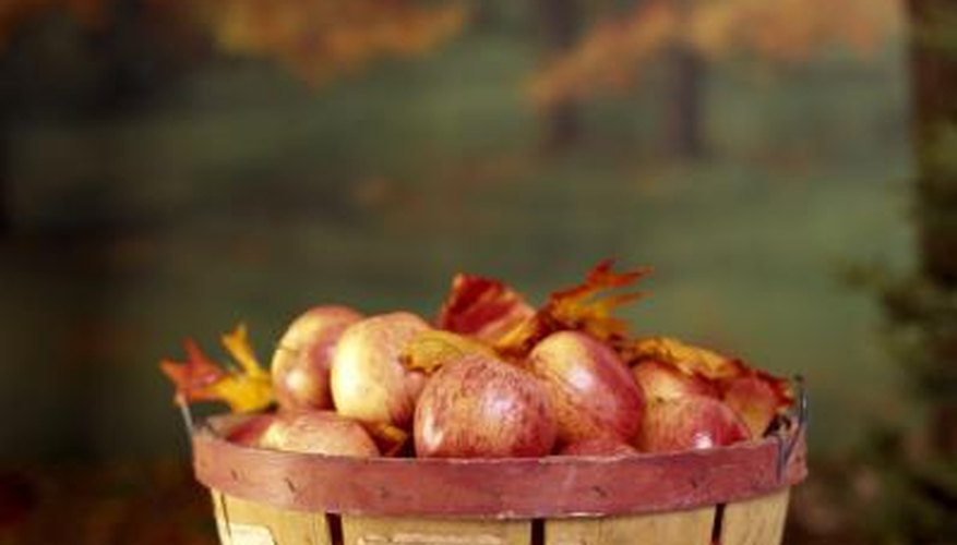 Apples are a fall icon, but they can also ripen throughout the summer. Apples are a fall icon, but they can also ripen throughout the summer.