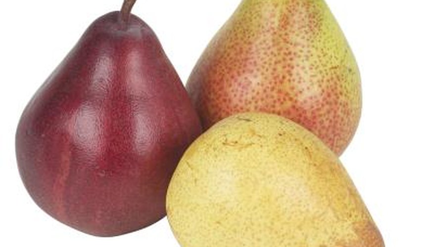 Bosc pears are a hardy pear varieity. Bosc pears are a hardy pear varieity.