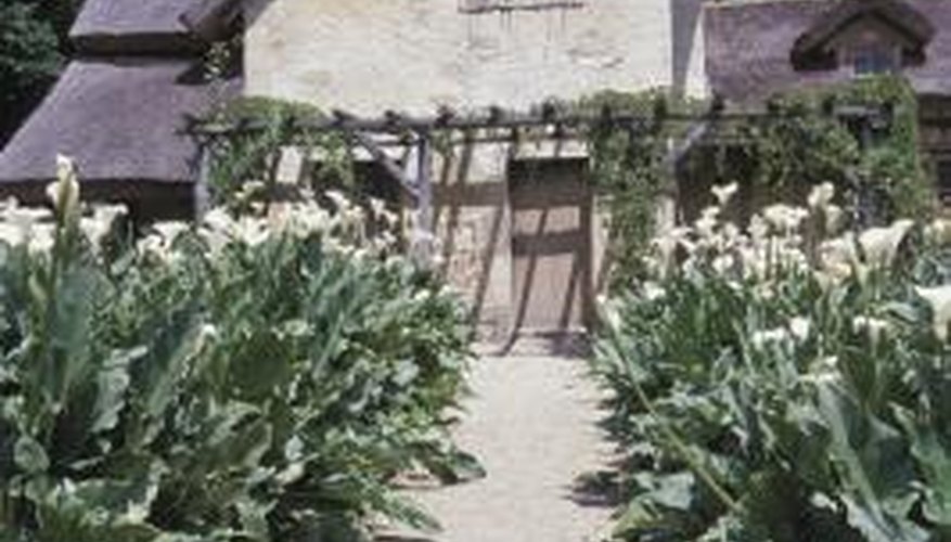 Gravel also works well as a paving material. Gravel also works well as a paving material.