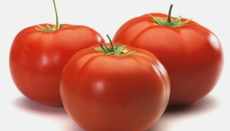 Sunlight is one element affecting a mature tomato fruit's size. Sunlight is one element affecting a mature tomato fruit's size.