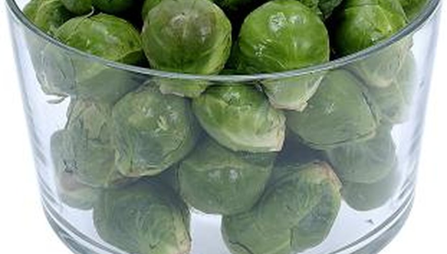 Grow beautiful, healthy Brussels sprouts by eliminating pests early each season. Grow beautiful, healthy Brussels sprouts by eliminating pests early each season.