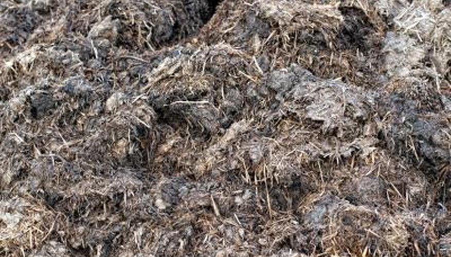 rotten manure compost rotten manure compost