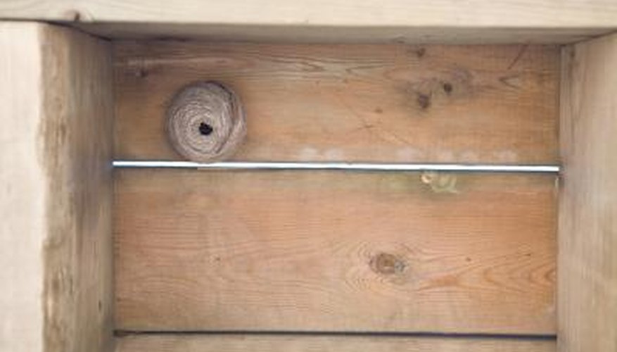 How to Get Rid of Wasps Outside Your Door | Garden Guides