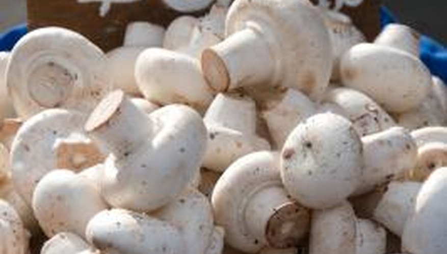 Button mushrooms grow best in a narrow temperature range. Button mushrooms grow best in a narrow temperature range.