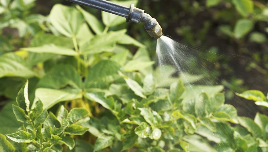 Herbicides are associated with many benefits and drawbacks. Herbicides are associated with many benefits and drawbacks.