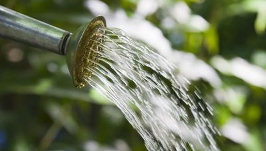 Spout of watering can. Spout of watering can.