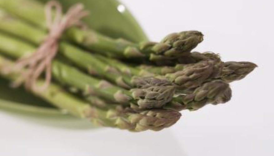 Asparagus Asparagus