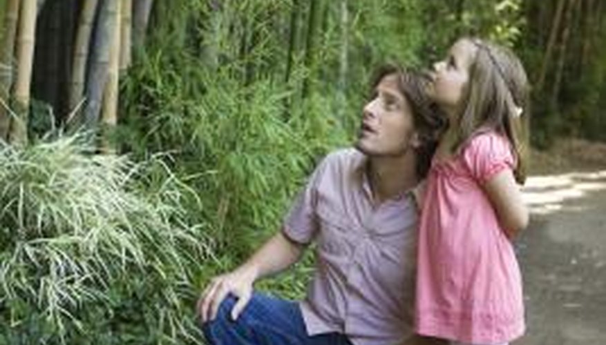 The greatest strength that bamboo has is its sustainable nature. The greatest strength that bamboo has is its sustainable nature.