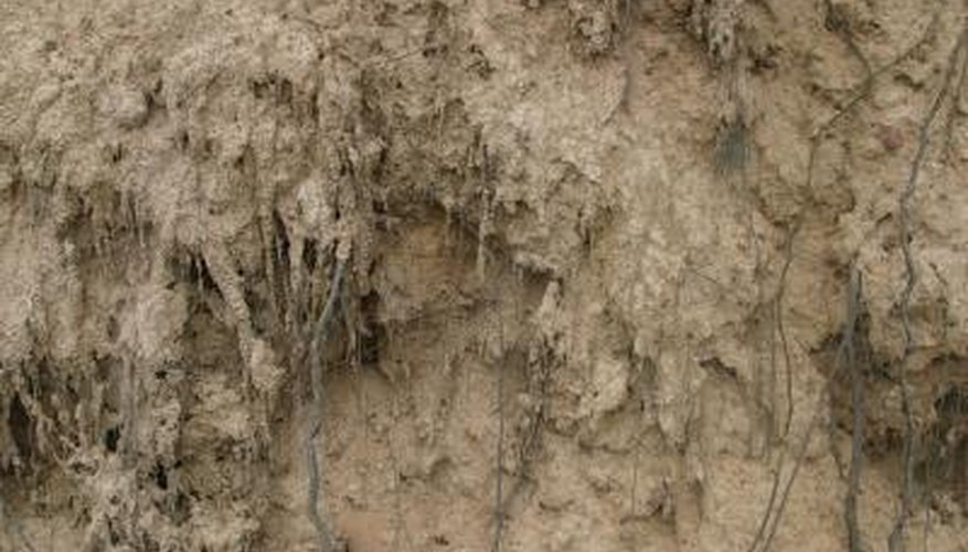 Landscape culverts with well-chosen plants to prevent erosion. Landscape culverts with well-chosen plants to prevent erosion.