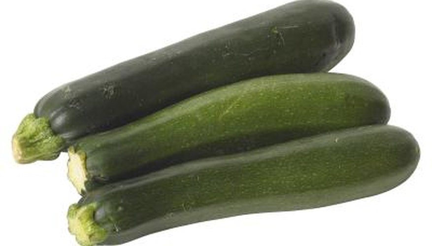 Zucchini Zucchini