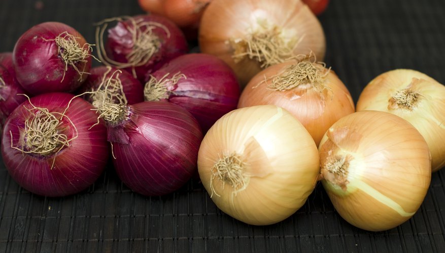 Bulb onions can be grown in 8- to 10-inch-deep pots. Bulb onions can be grown in 8- to 10-inch-deep pots.