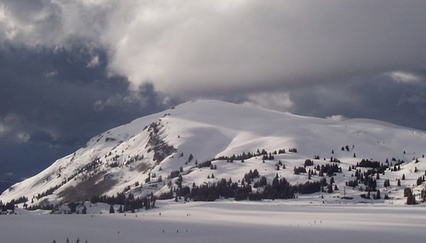 The Crown Jewel is also known to work well in cold zones. The Crown Jewel is also known to work well in cold zones.