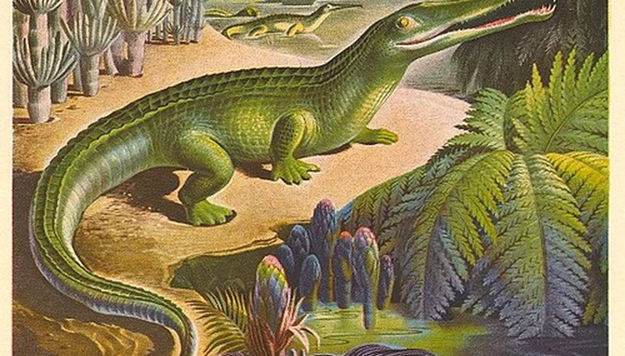 As plants evolved, so did their methods of reproduction. As plants evolved, so did their methods of reproduction.