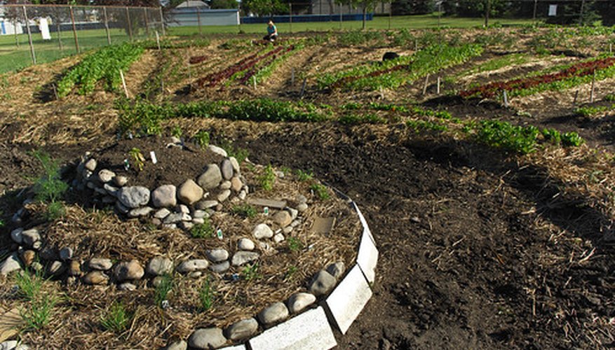 Plant a circular raised bed garden. Plant a circular raised bed garden.