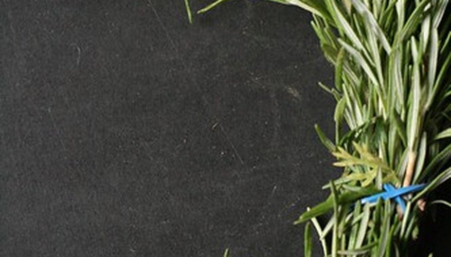 Rosemary is a pretty bush, too. Rosemary is a pretty bush, too.