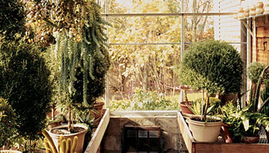 Modern greenhouses are more cost effective than their predecessors. Modern greenhouses are more cost effective than their predecessors.