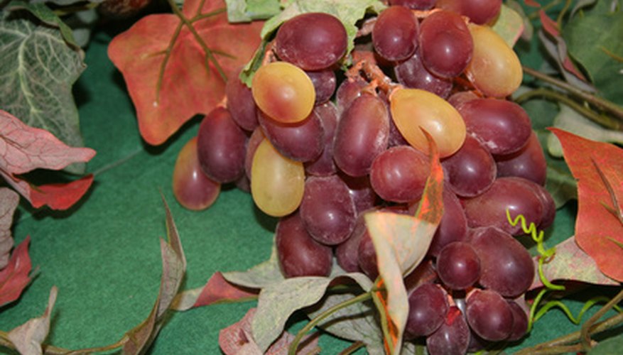 Muscadine grapes make great jam, pie and wine. Muscadine grapes make great jam, pie and wine.