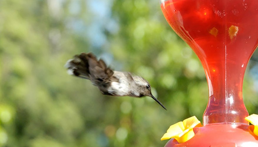 Bright colors attract hummingbirds and butterflies. Bright colors attract hummingbirds and butterflies.