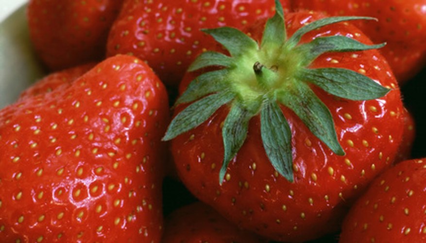 Plants produce berries in the second year. Plants produce berries in the second year.