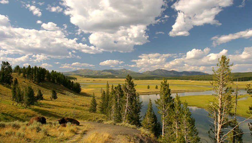 Soil around the Yellowstone plateau is in Zone 1. Soil around the Yellowstone plateau is in Zone 1.