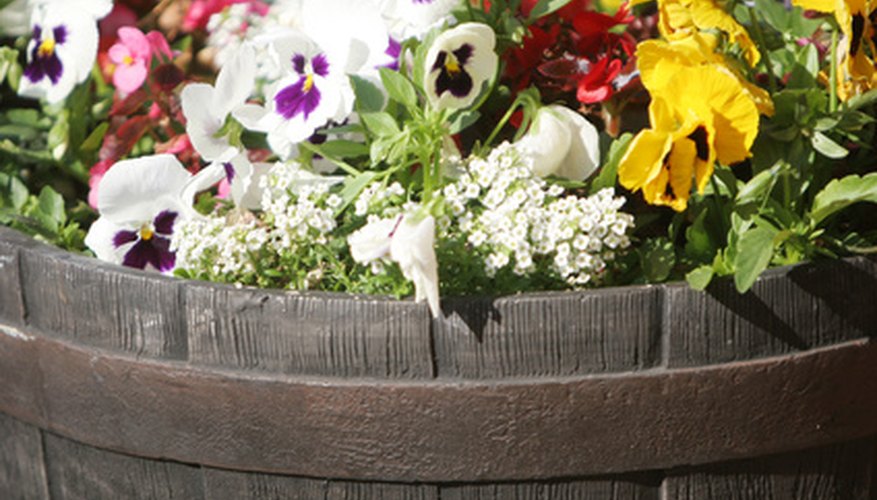Make flower planters to save space and money. Make flower planters to save space and money.