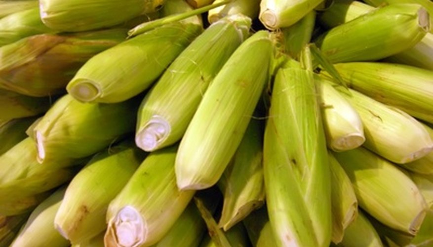 Awesome sweet corn seed has a high sugar content Awesome sweet corn seed has a high sugar content