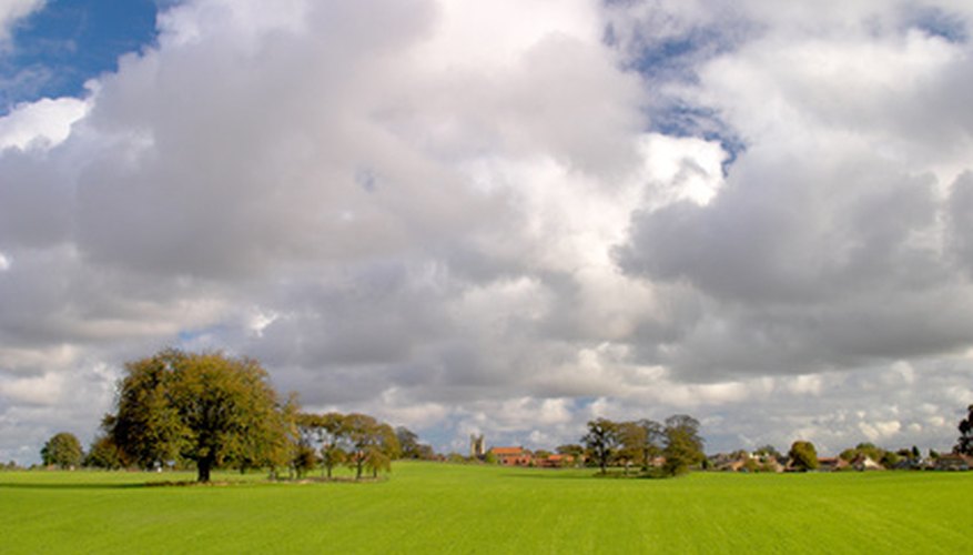 English pastoral landscapes are filled with sweeps of green turf. English pastoral landscapes are filled with sweeps of green turf.