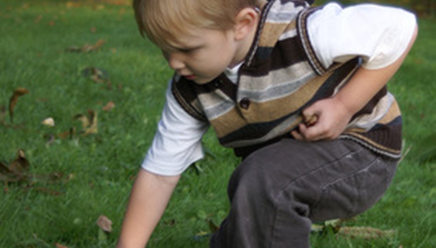 Photo Credit: child picking conkers image by cat from <a href='http://www.fotolia.com'>Fotolia.com</a> Every fall, European children collect conkers for conker fights.