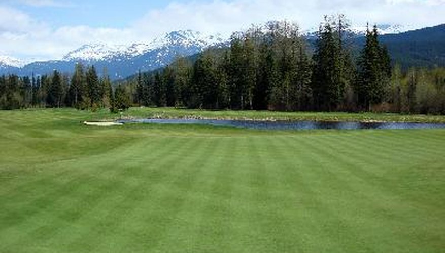 Large lawns benefited from the Murray widebody mower. Large lawns benefited from the Murray widebody mower.
